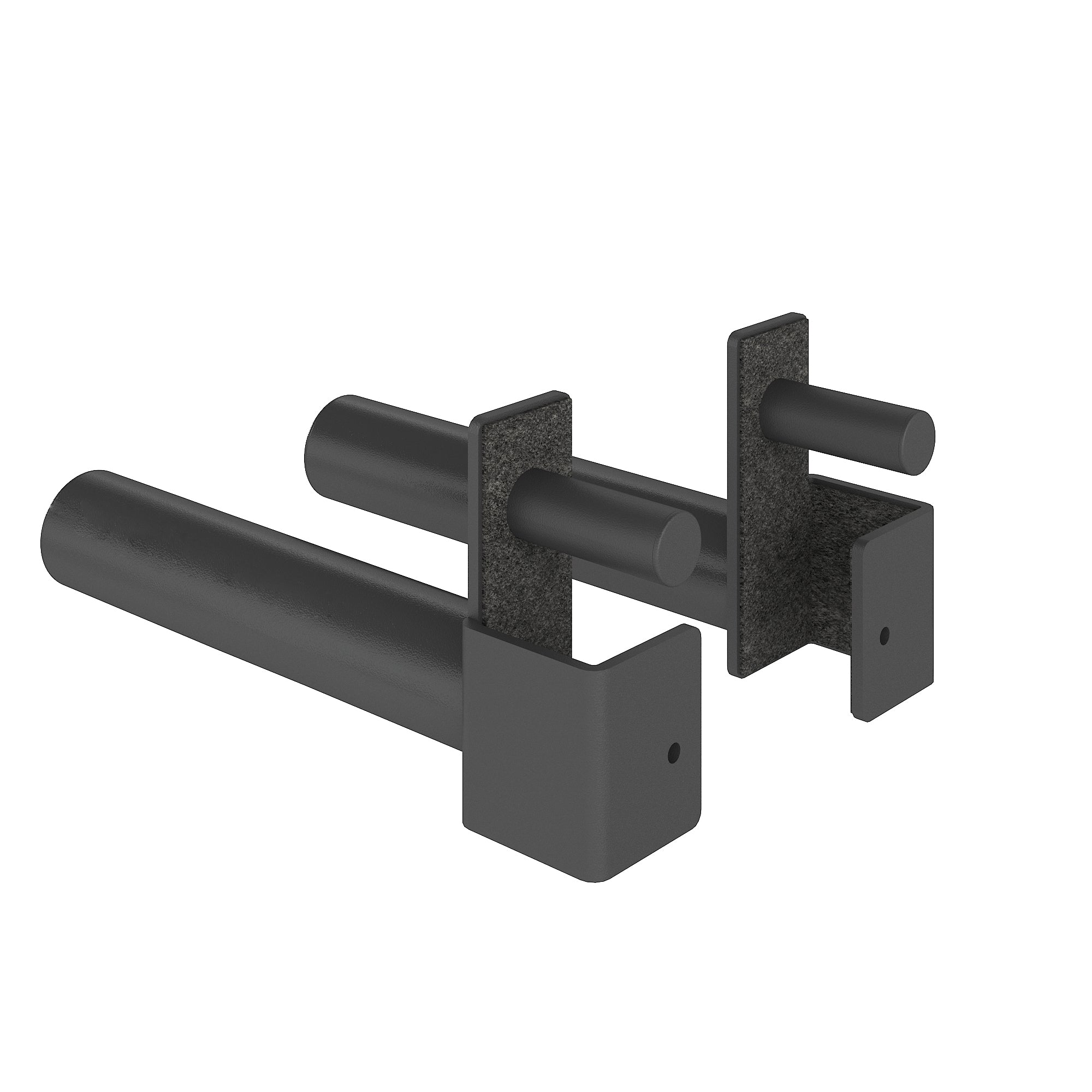 Heavy-duty rack-mounted weight plate holder attachments—pair of steel pegs for organized Olympic plate storage on a power rack.
