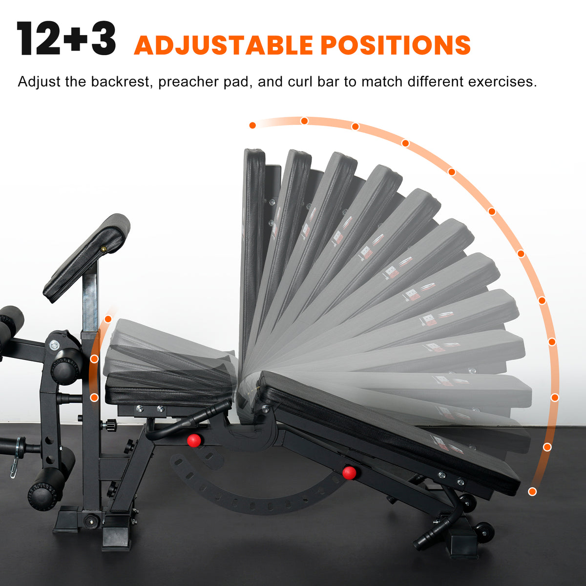 Multi-Functional FID Adjustable Weight Bench with Leg Developer & Preacher Curl