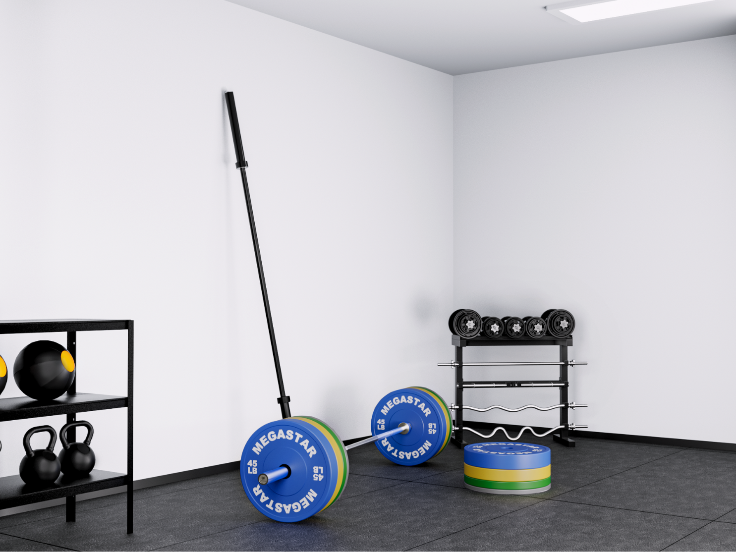 Weight Plates