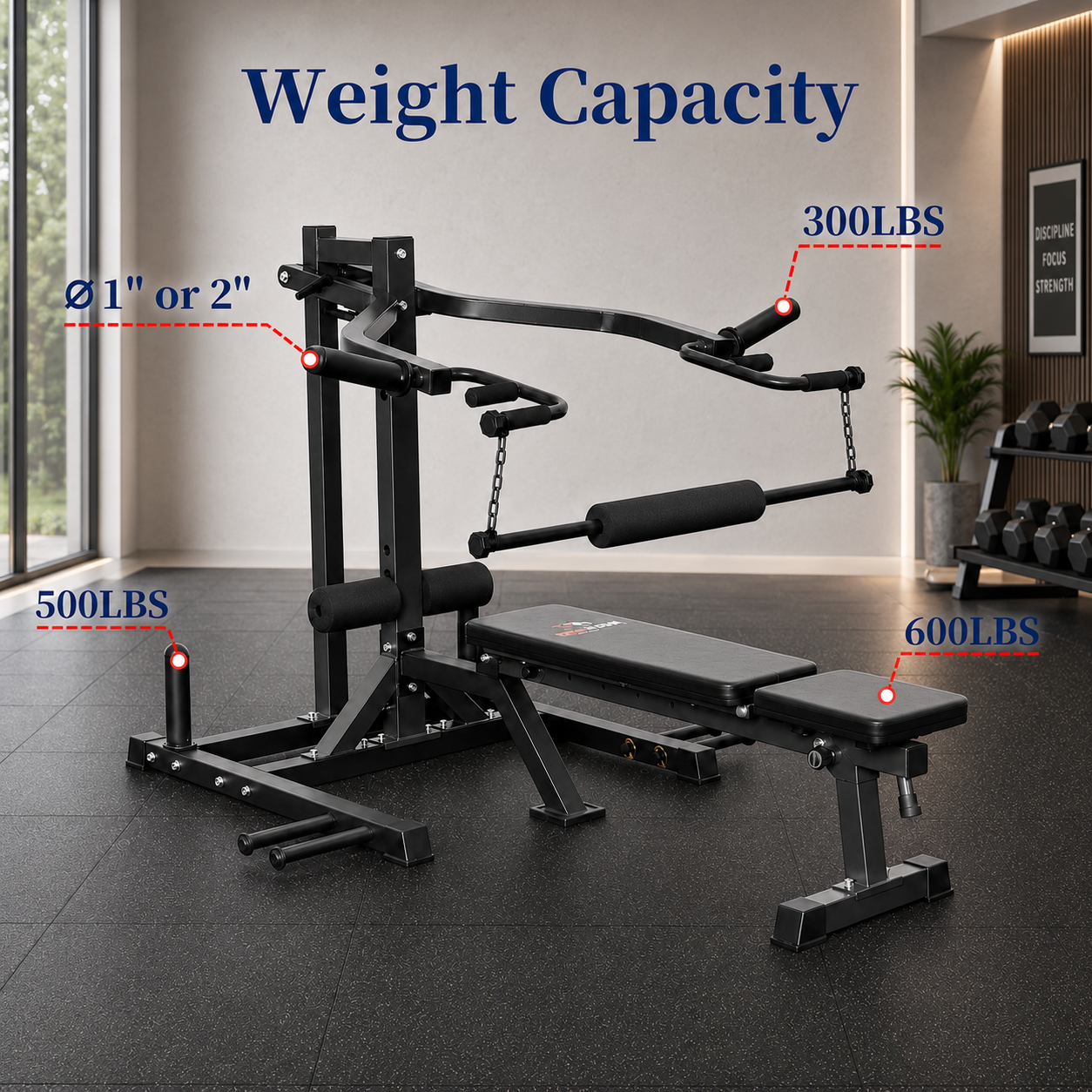 CP46 6-in-1 Chest Press & Squat Machine