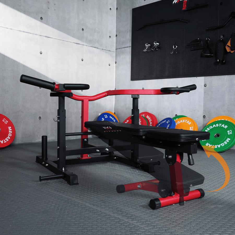 3 Training Modes in One