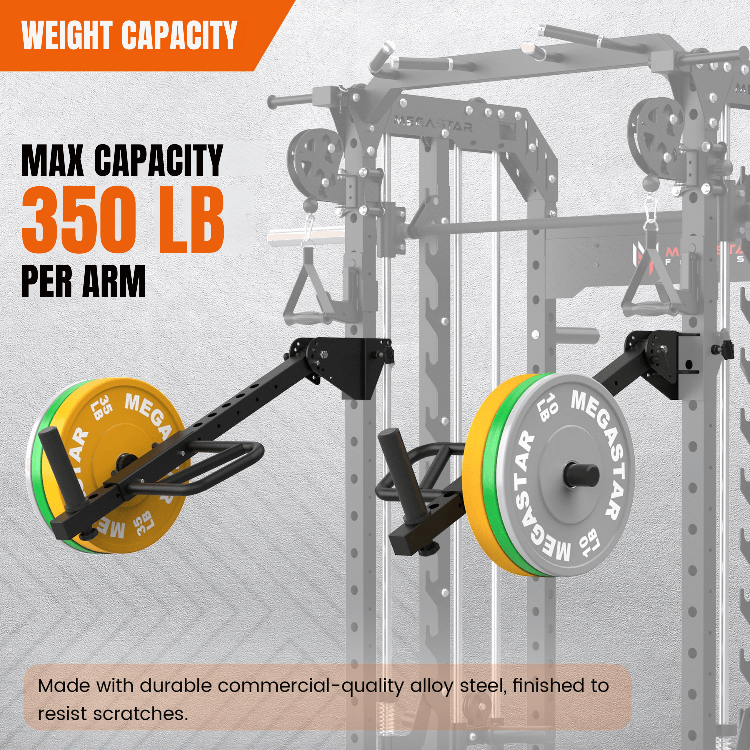 Weight capacity display for a gym setup with weight plates and text indicating maximum capacity.