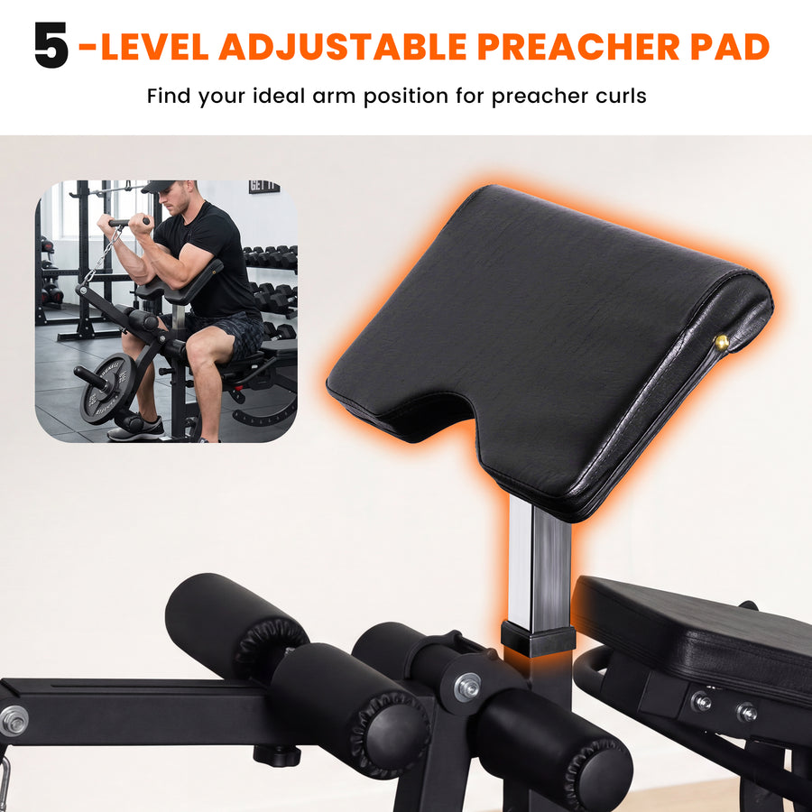 Height-Adjustable Preacher Curl Station